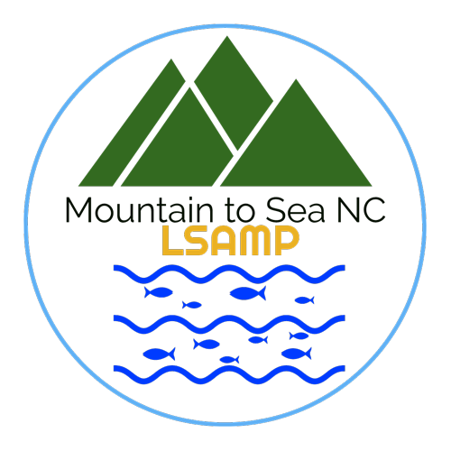 Mountain to Sea NC LSAMP